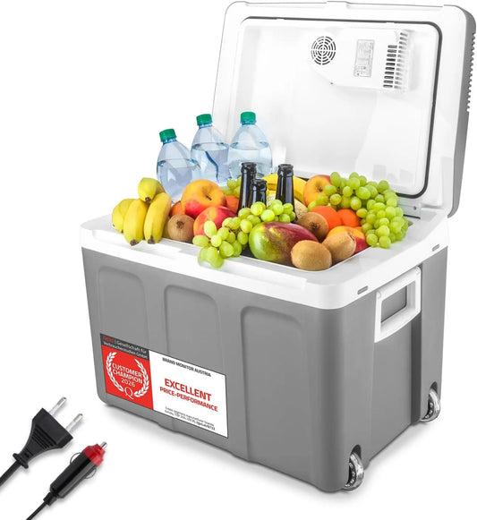 TZS réfrigérateur, capacité 45 L, format compact, coloris gris