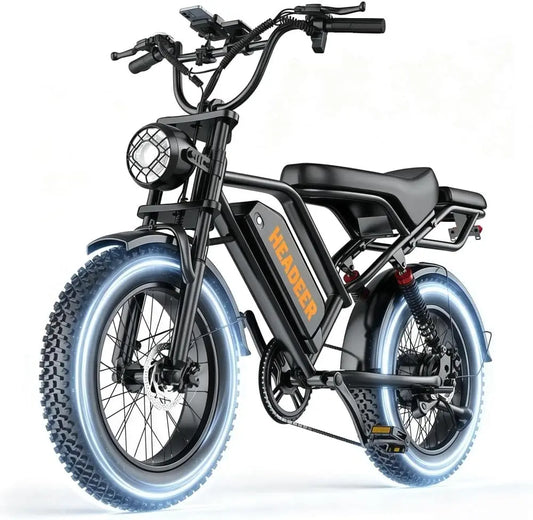 vélo électrique BK20, écran 20 pouces